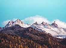 徐杰关键三分张洪硕18分 广东险胜浙江取2连胜